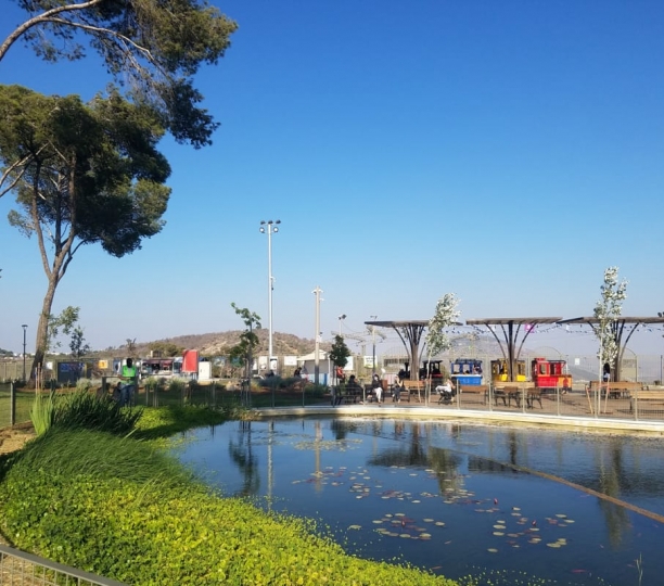 בריכה אקולוגית בלב הפארק