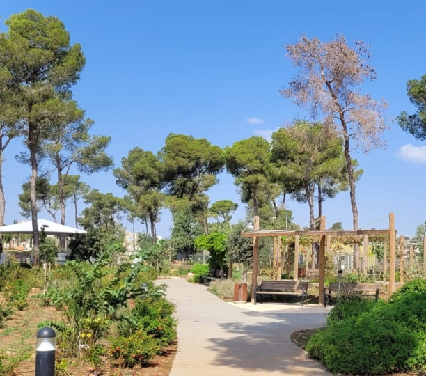 פינת ישיבה מוצלת בגן בוטני