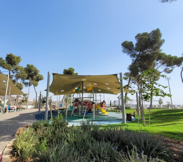 פינת משחקים עטופה במדשאה ועצי צל מקומיים